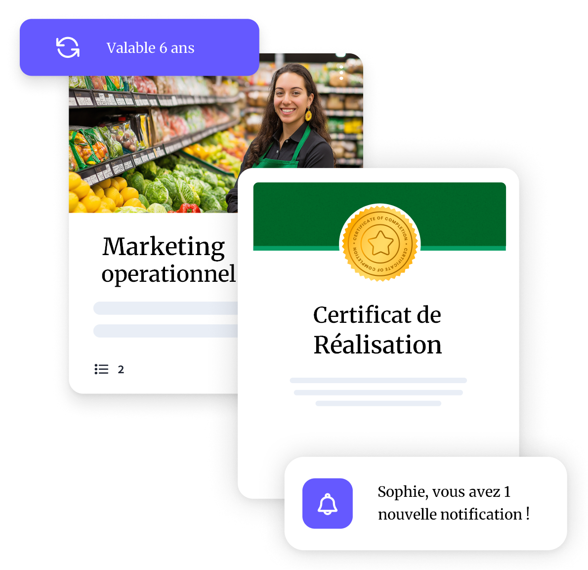Illustration de l'interface LMS de Syali
